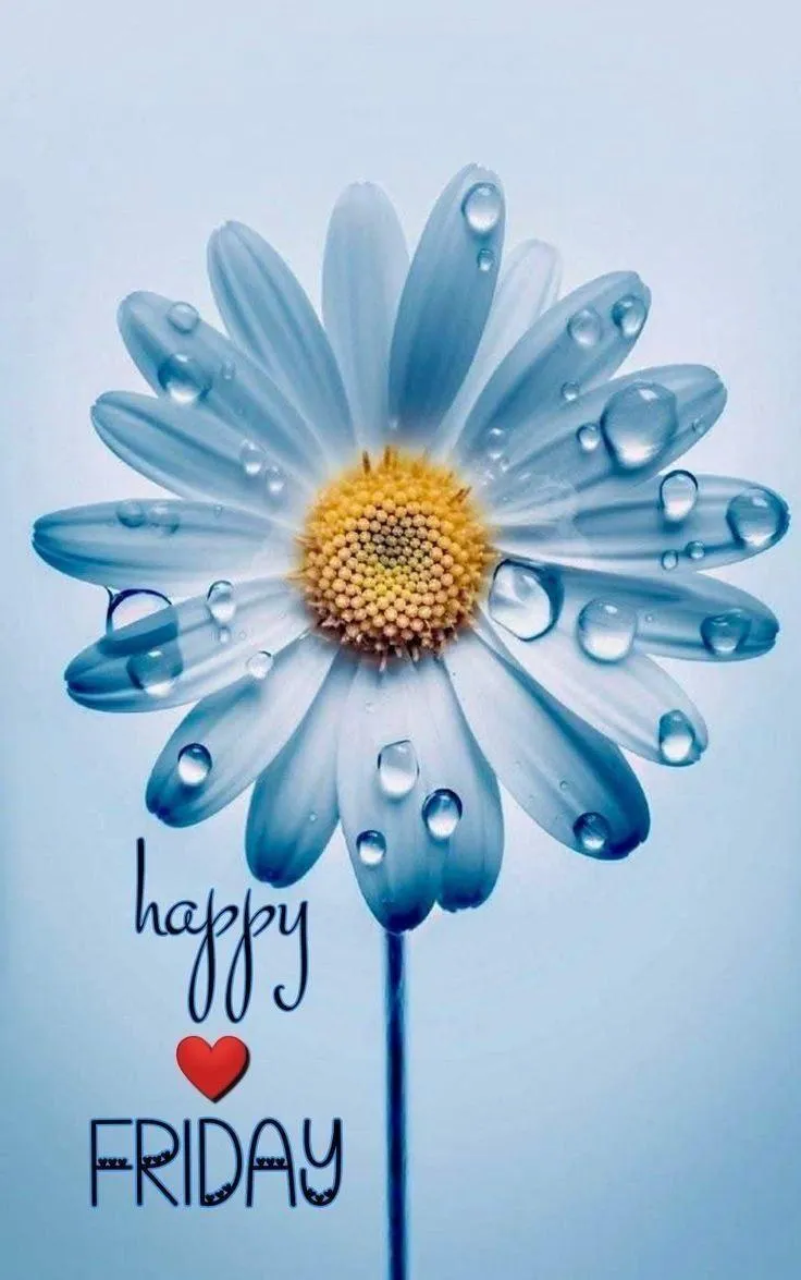 Fresh Blue Daisy Greeting for a Refreshing Start Image