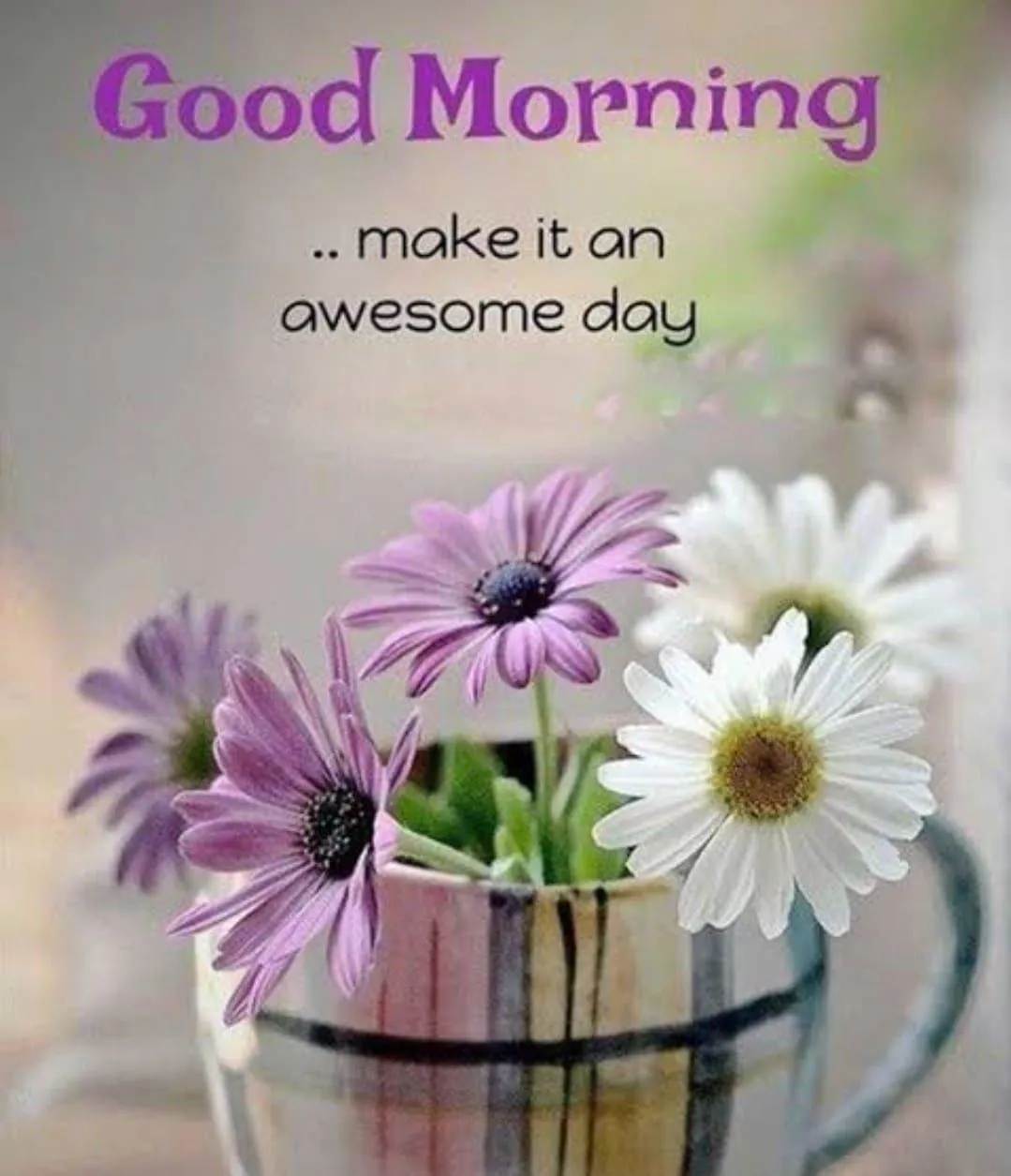 Fresh Flowers and Good Morning Wishes for a Peaceful Day