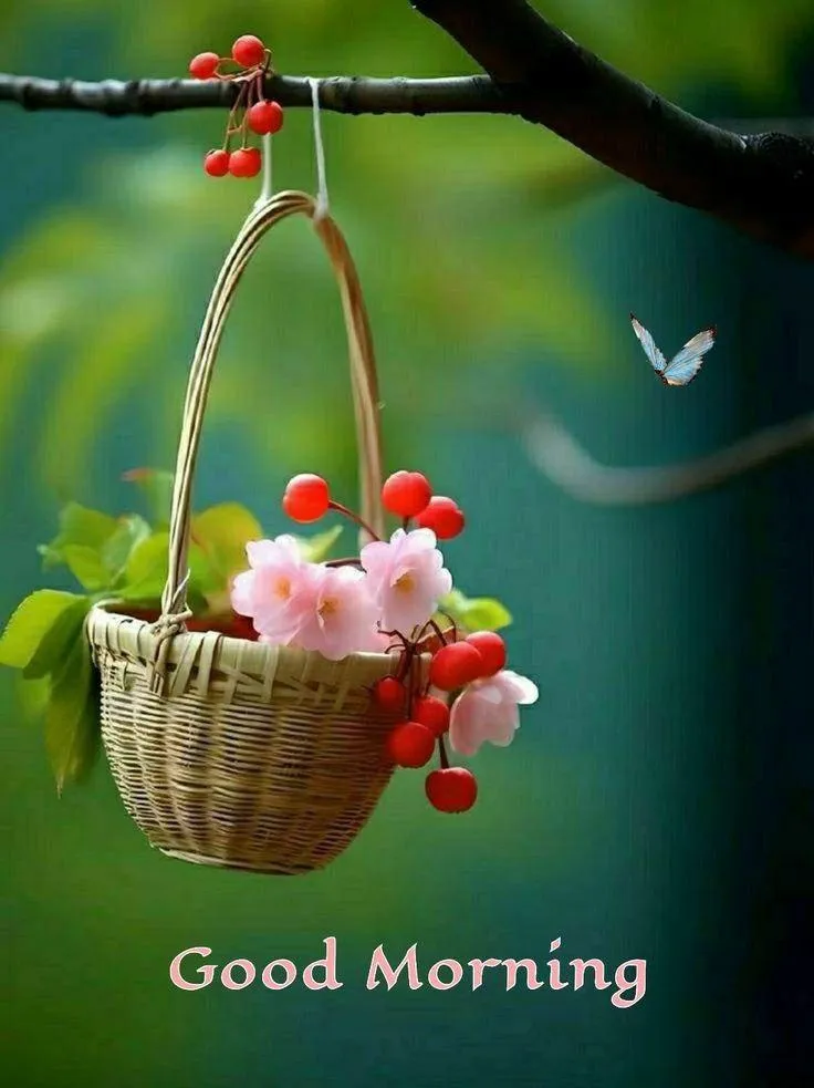 Fresh Good Morning Greeting with Hanging Basket and Bird