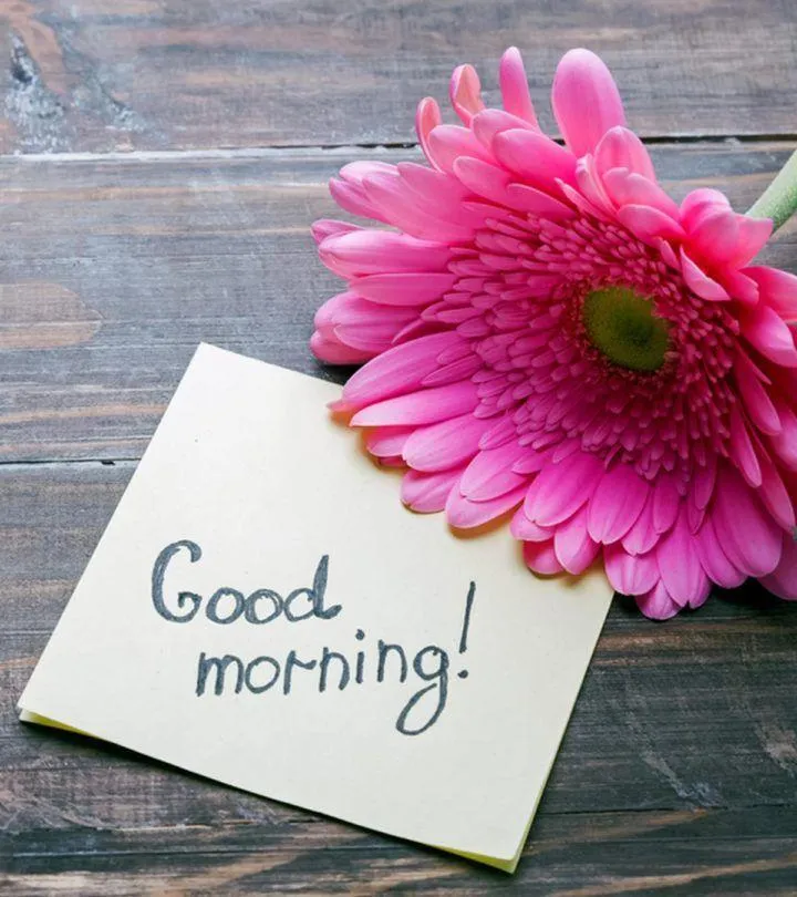 Fresh Pink Flower with a Simple Good Morning Greeting