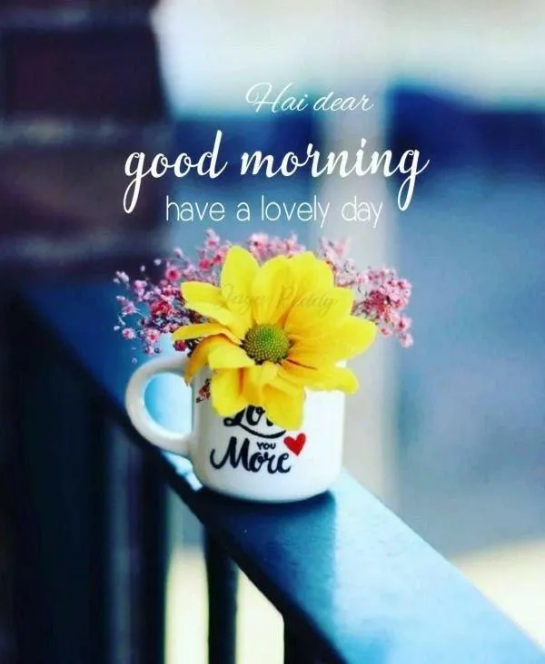 Fresh Yellow Bloom Saying Good Morning with Love Image