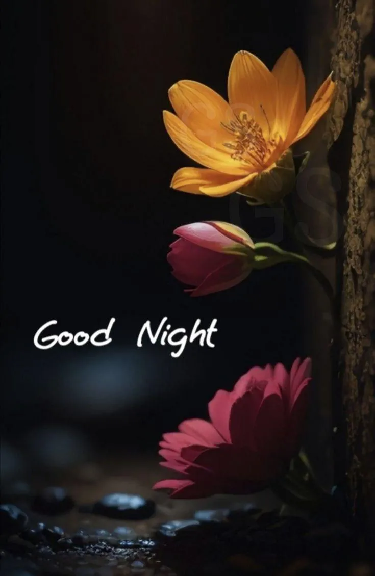 Gentle Flowers with a Soft Good Night Blessing Wallpaper