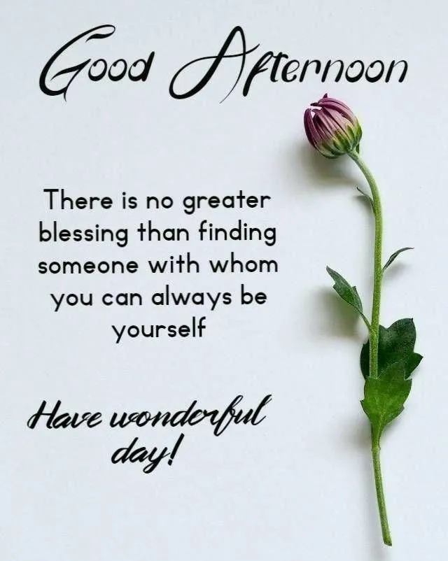 Gentle Morning Message Filled with Peace and Blessings