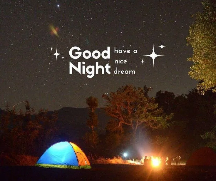 Globe and Stars Give a Thoughtful Good Night Message