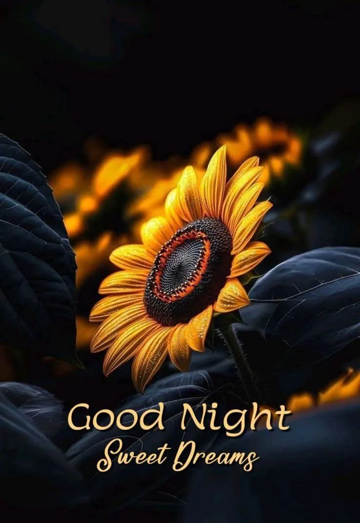 Glowing Candlelight Scene Saying Good Night Blessings