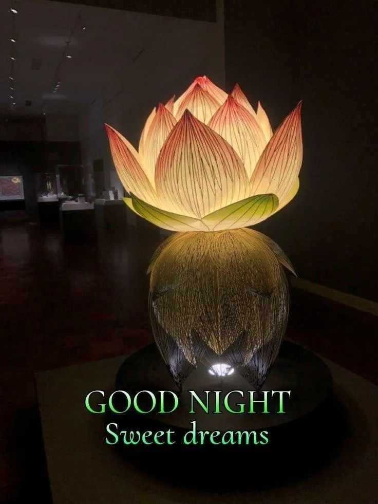 Glowing Yellow Rose with Good Night Wish for Peace