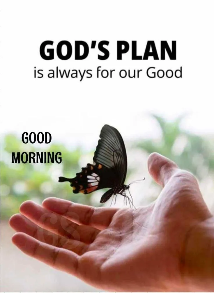 Gods Plan Is Always for Our Good with Hands and Plant