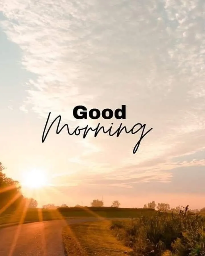 Golden Sunrise Horizon with Warm Orange Sky Tone Wallpaper