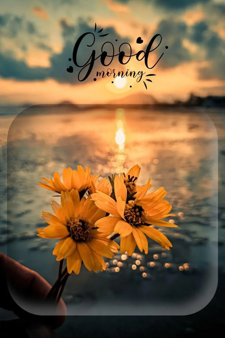 Golden Sunrise Over Water with Warm Morning Vibe Image