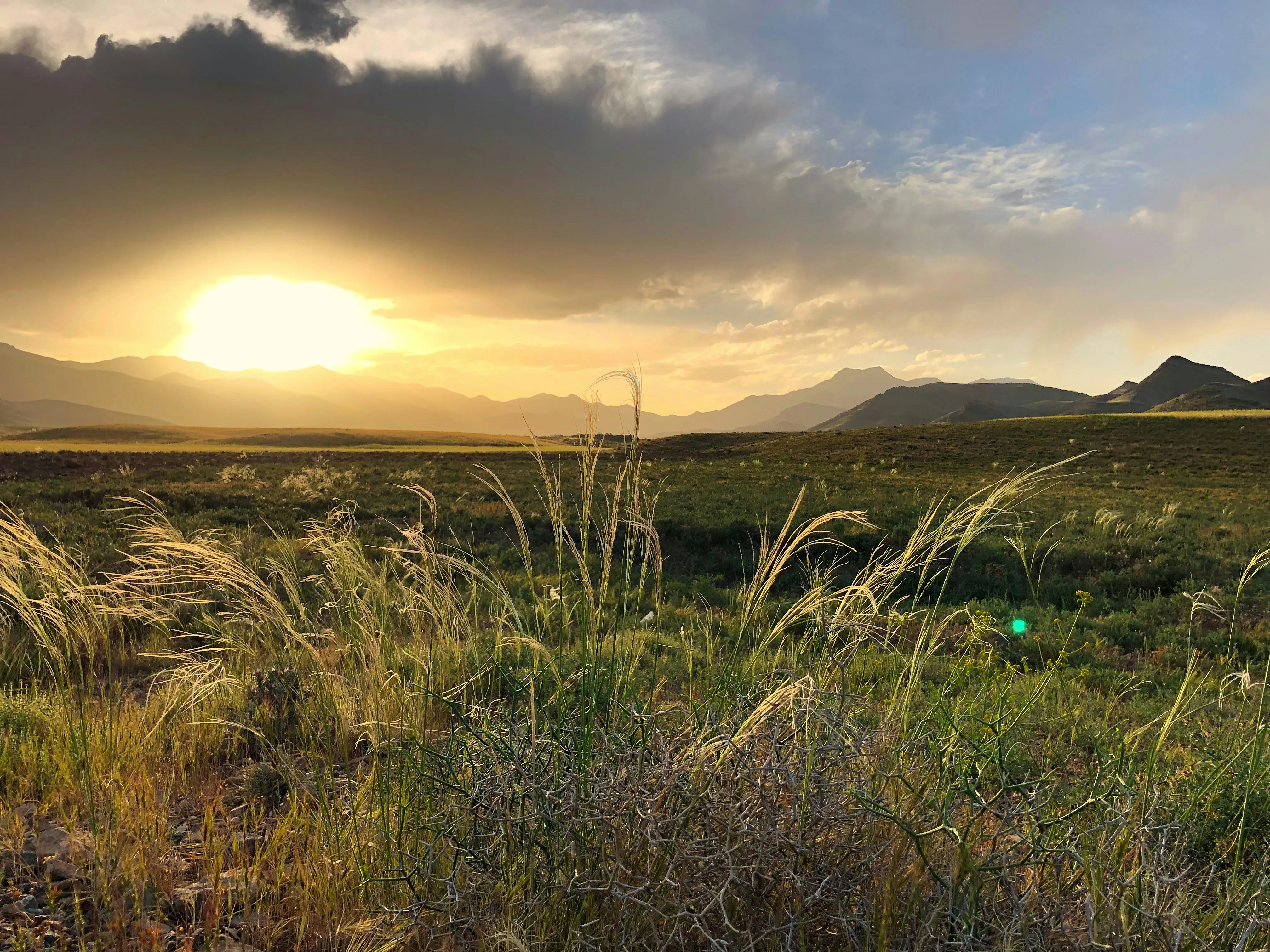 Golden Sunset Over Field Representing Tranquility Wallpaper