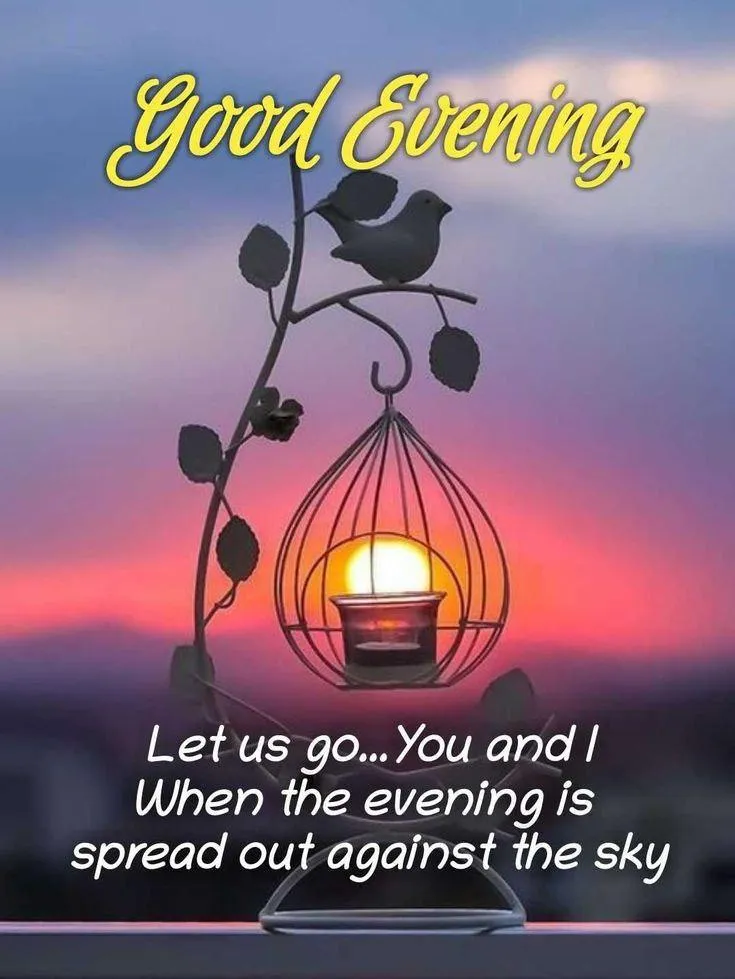Good Evening Message with Purple Floral Background