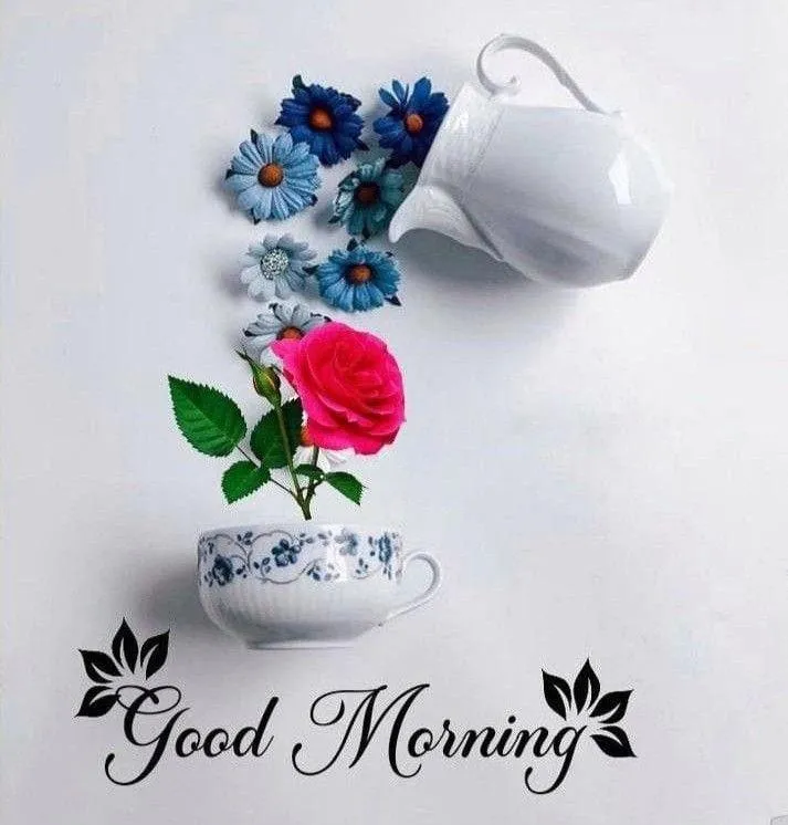 Good Morning Blue Flower Arrangement on White Background