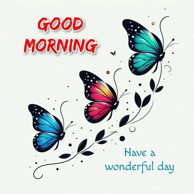 Good Morning Butterflies and Flowers Have a Wonderful Day