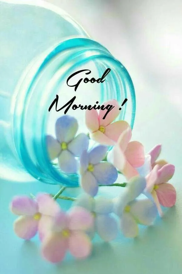 Good Morning Butterfly and Blue Flowers on Light Background