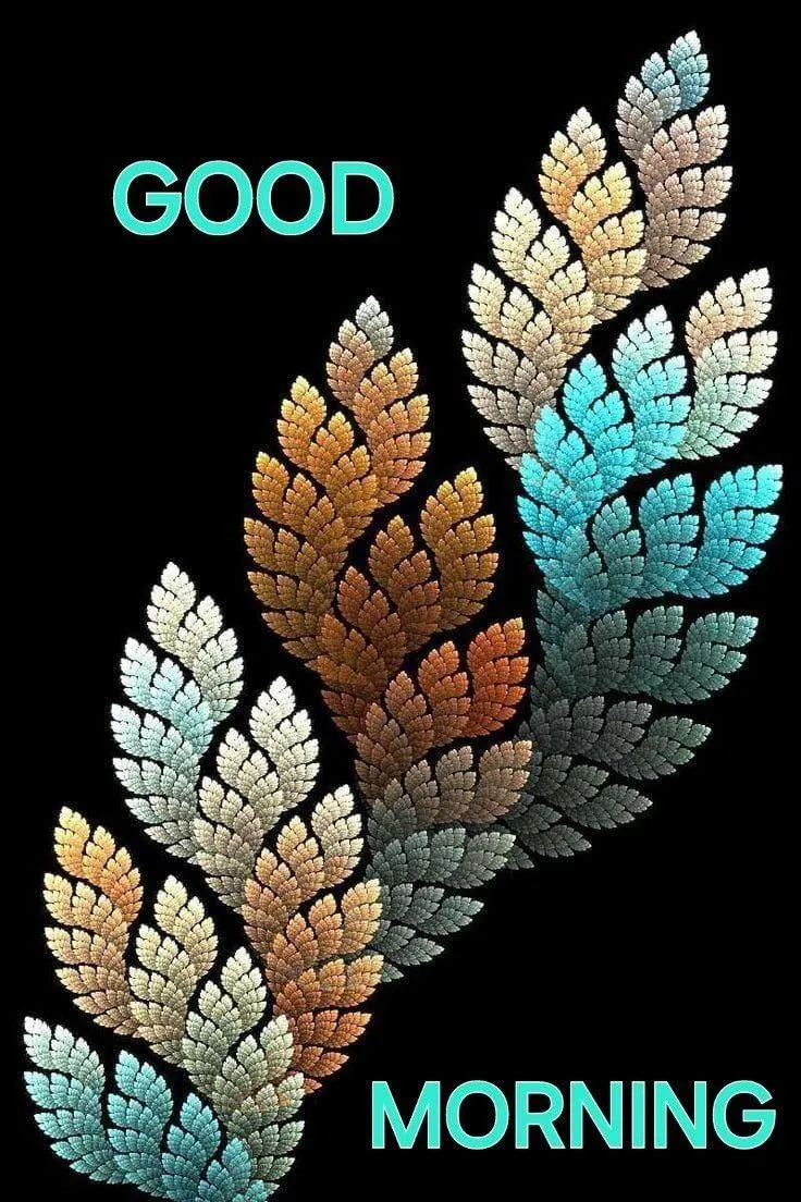 Good Morning Colorful Feather Design with Text