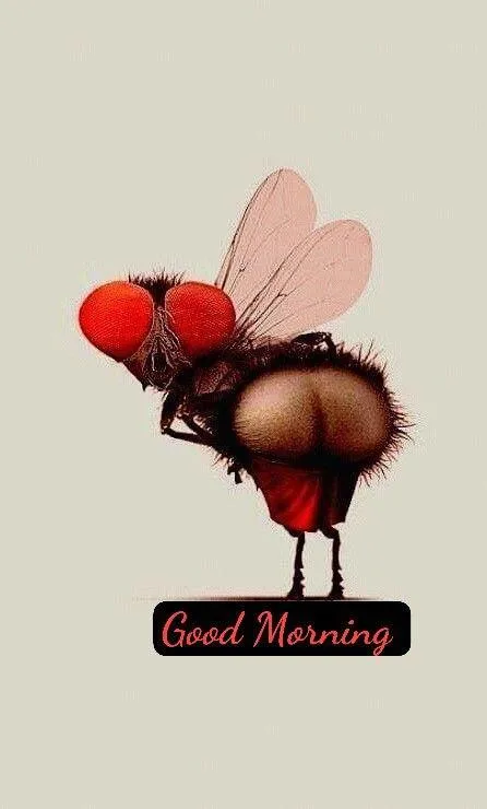 Good Morning Cute Ladybug with Red Wings Wallpaper
