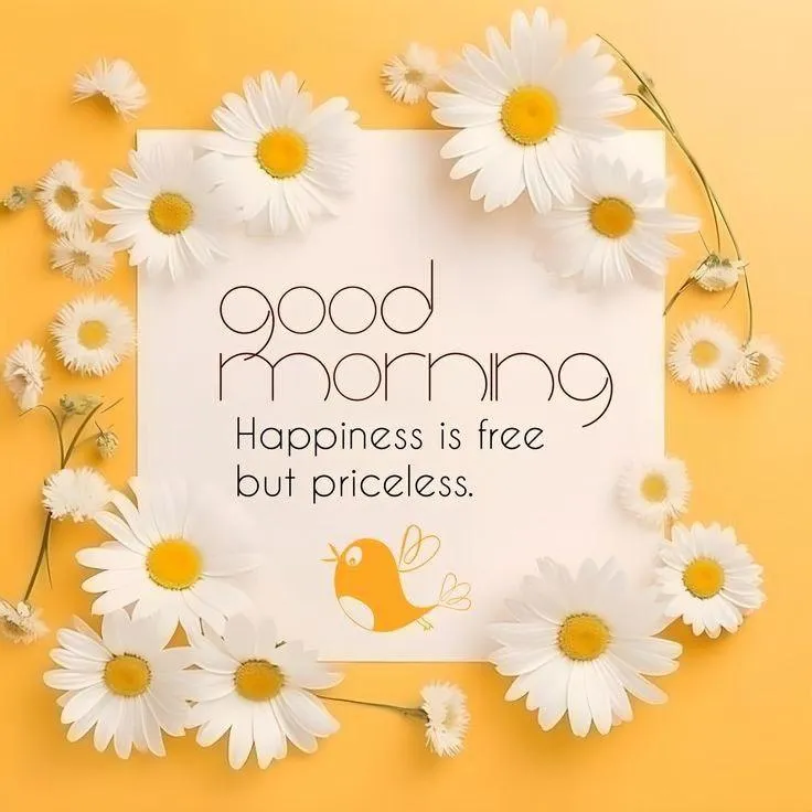 Good Morning Daisies and Sunflowers with Kind Wishes