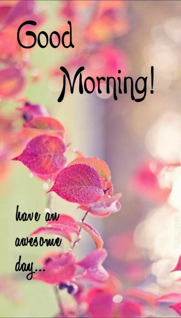 Good Morning Floral Greeting with Pink Blossoms Wallpaper