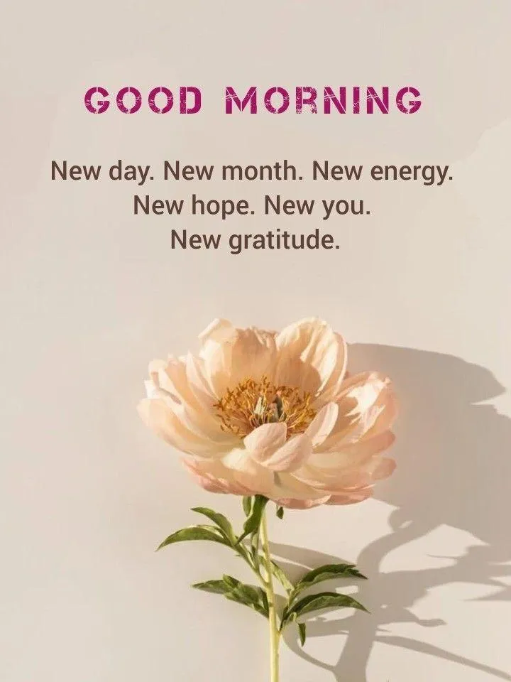 Good Morning Gentle Pink Flower with Positive Text