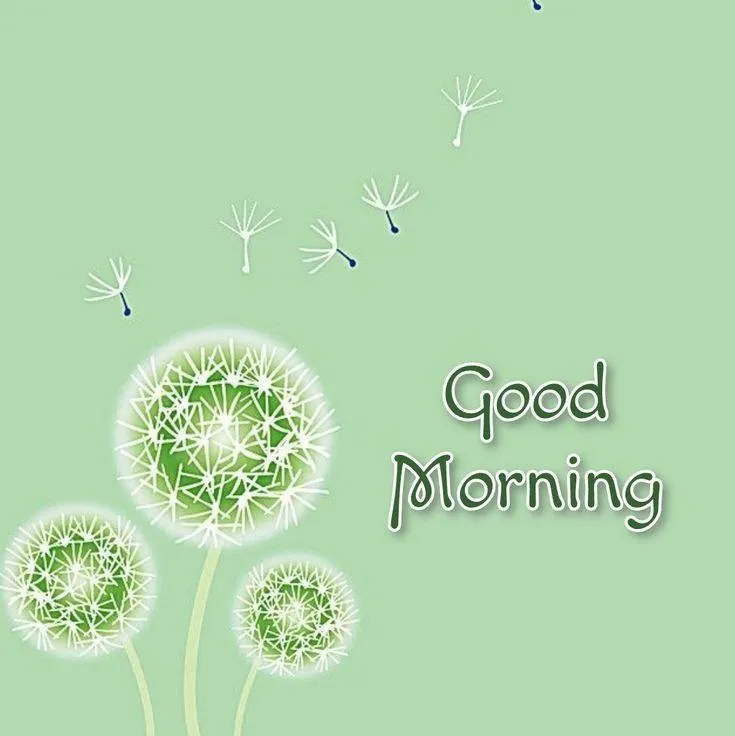 Good Morning Green Background with Dandelion Clocks
