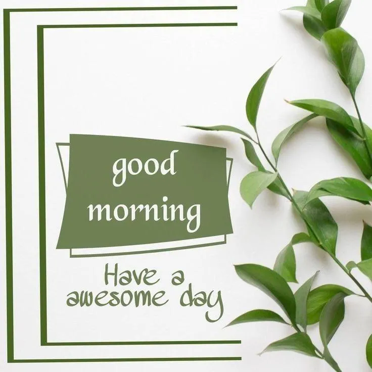 Good Morning Green Leaves with Positive Morning Wishes