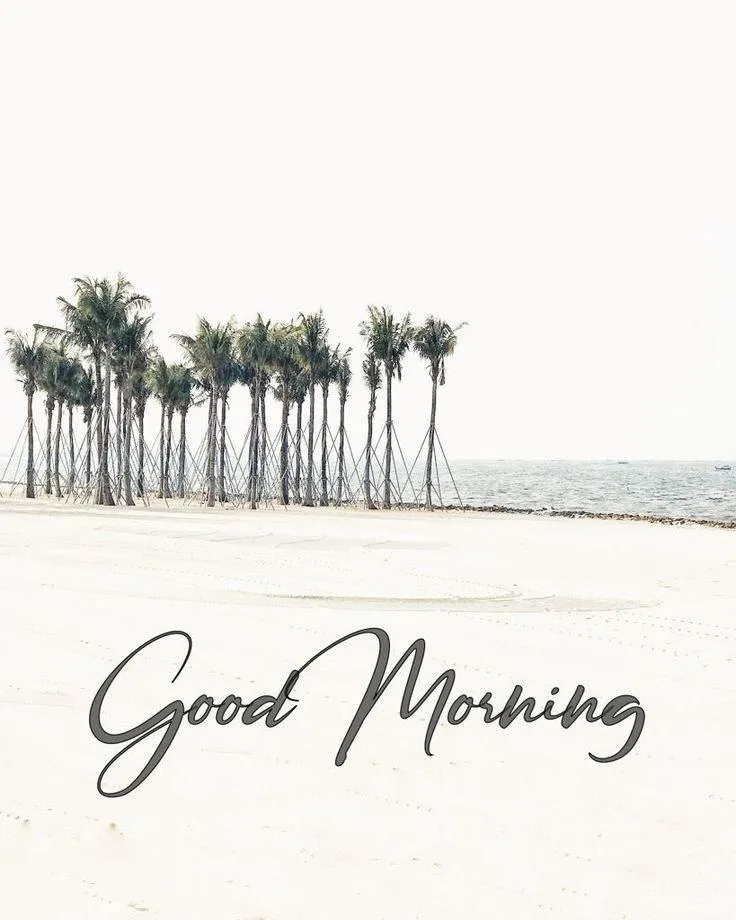 Good Morning Greeting Card with Palm Trees and Text