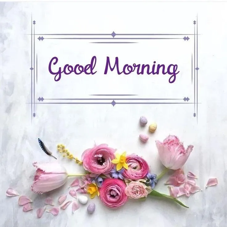 Good Morning Greeting with Pink Flowers in White Background