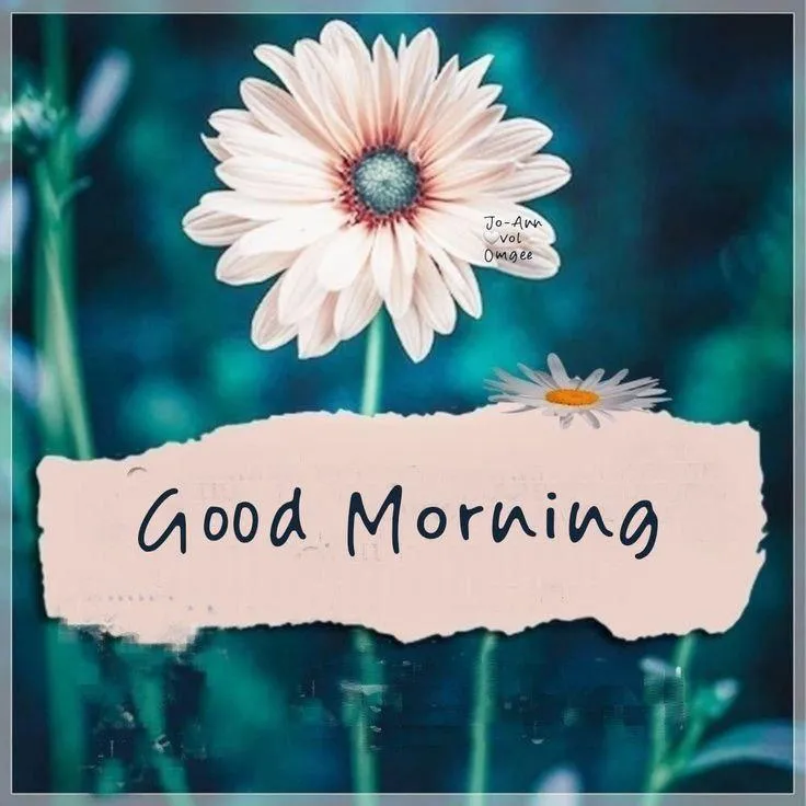Good Morning Handwritten Style Text with Blue Flower