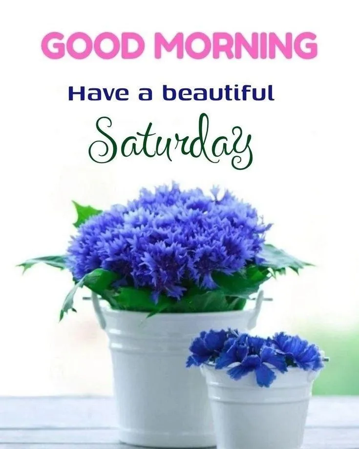 Good Morning Have a Beautiful Saturday with Purple Flowers