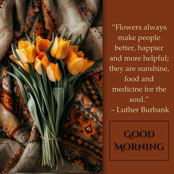 Good Morning Inspirational Quote with Brown Flowers