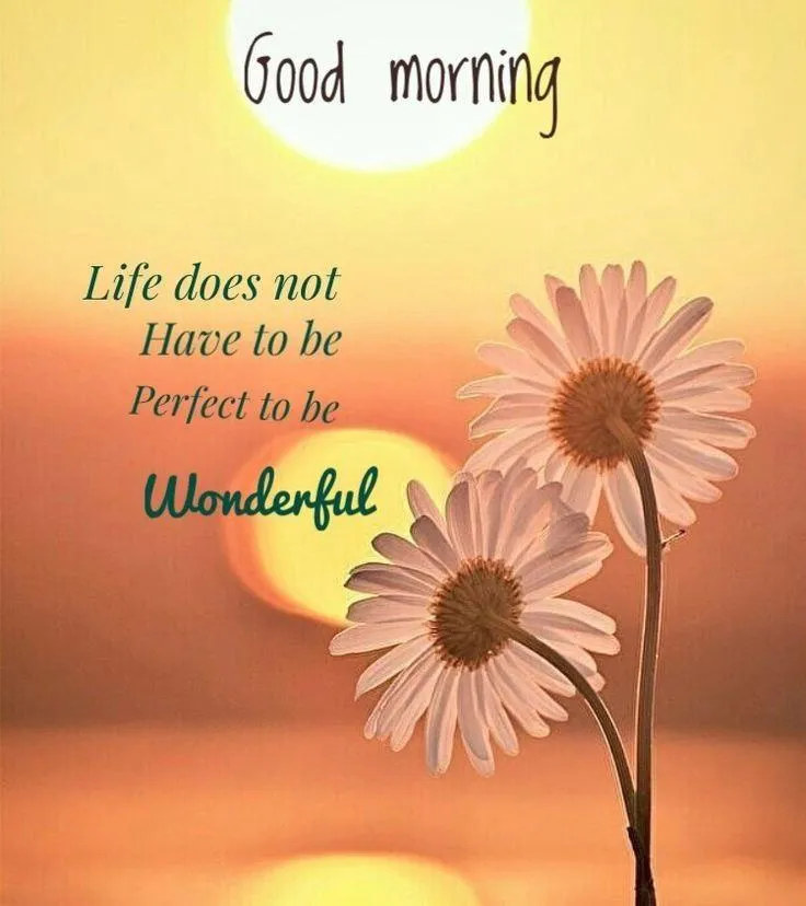 Good Morning Life Is Beautiful with Flowers and Sunset