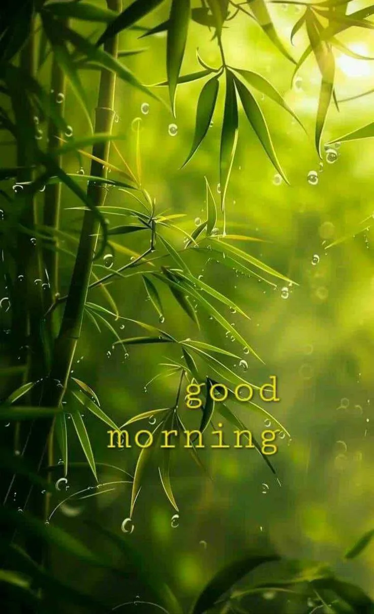 Good Morning Message with Bright Green Leaves Background