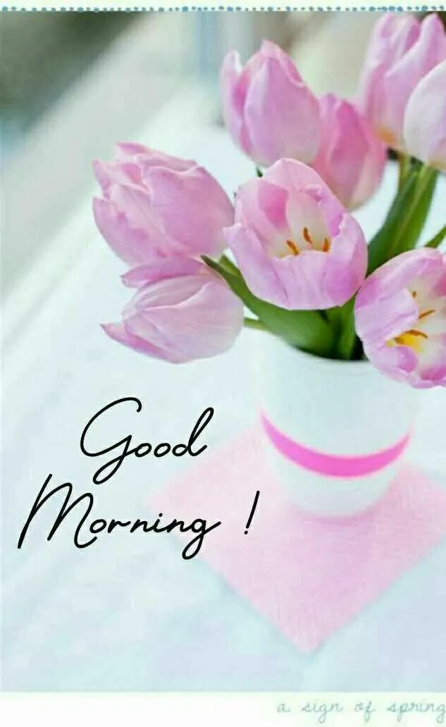 Good Morning Message with Elegant Pink Flowers Wallpaper