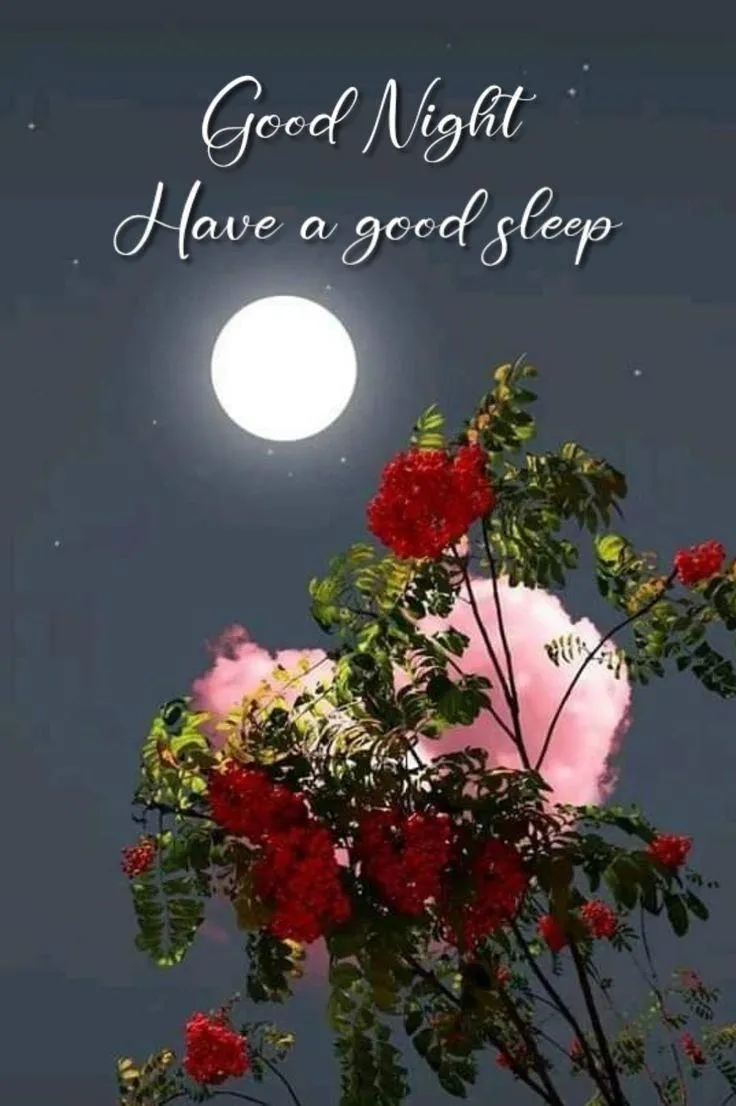 Good Morning Night Sky and Flowers Peaceful Wishes