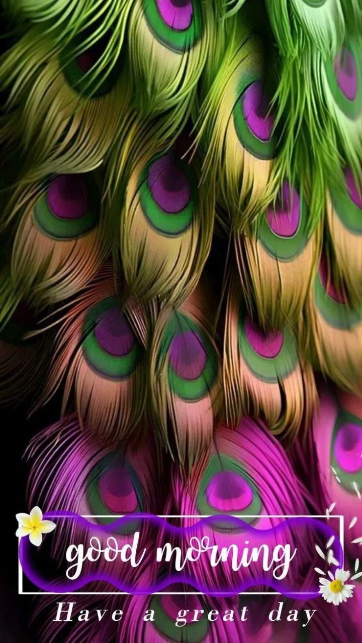 Good Morning Peacock Feather Pattern with Elegant Colors