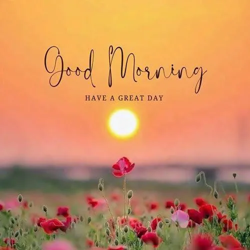 Good Morning Pink Flowers in Sunrise Field Wallpaper