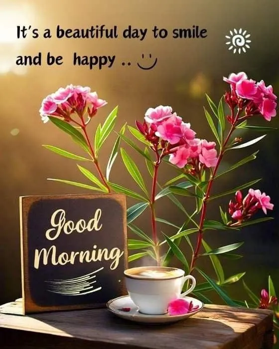 Good Morning Pink Flowers with Beautiful Morning Quote