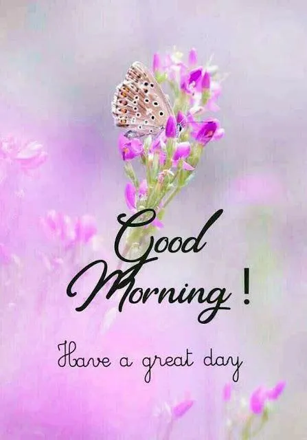 Good Morning Pink Flowers with Motivational Text Wallpaper