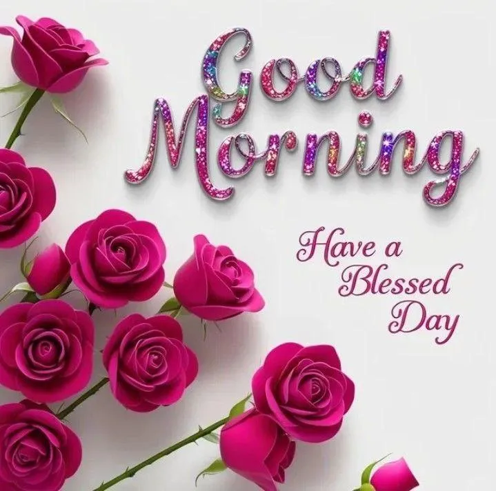 Good Morning Pink Roses with Have a Blessed Day Wishes