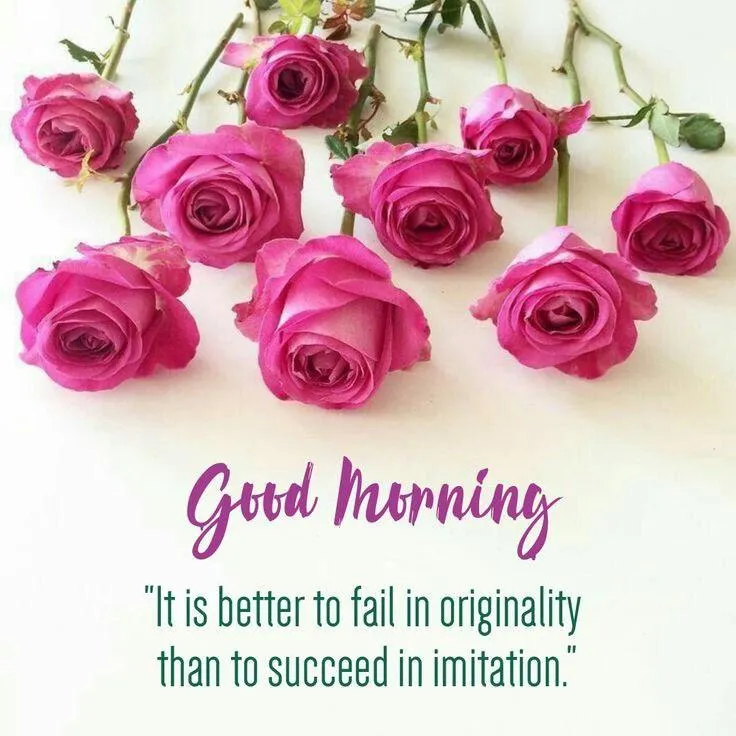 Good Morning Pink Roses with Motivational Quote Image