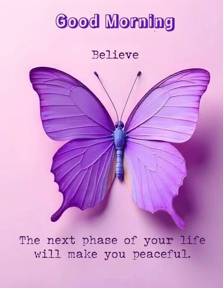 Good Morning Purple Butterfly with Positive Message
