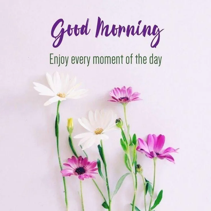 Good Morning Purple Flowers with Stay Joyful Message