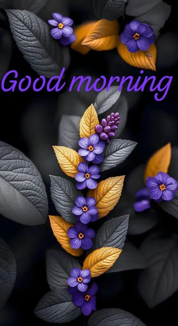 Good Morning Purple Leaves on Black Background Image