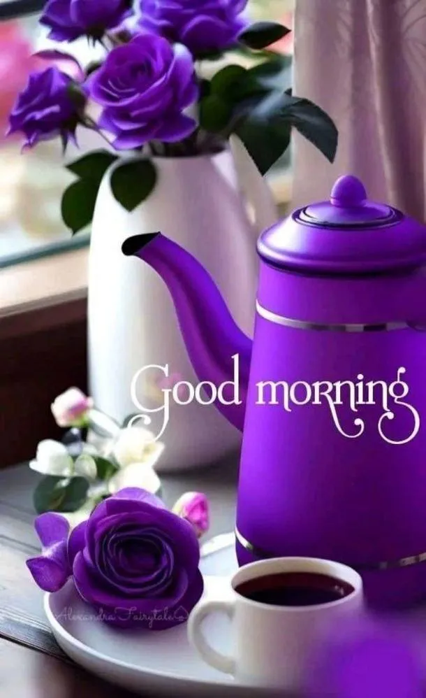 Good Morning Purple Orchid Flowers Free Hd Wallpaper