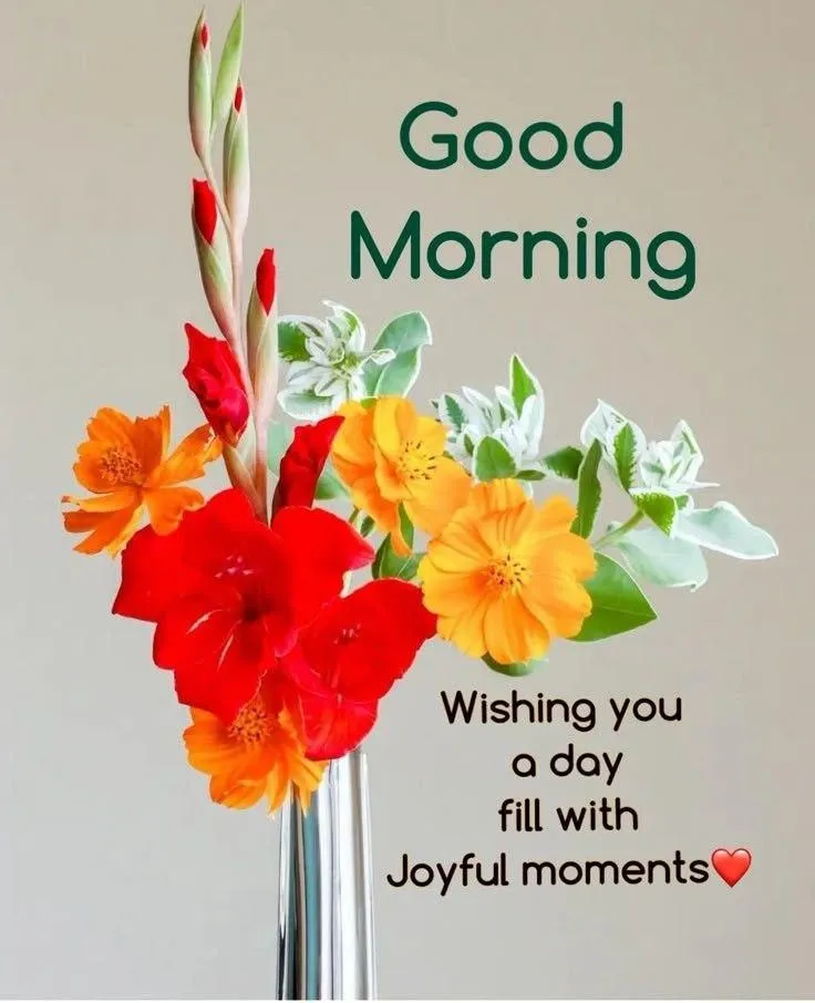 Good Morning Red and White Flowers with Motivational Quote