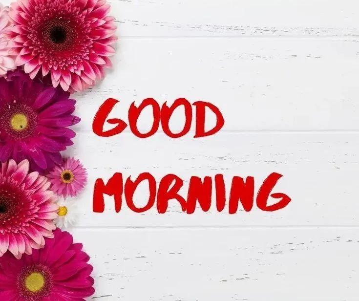 Good Morning Red Flower Text on Wooden Background