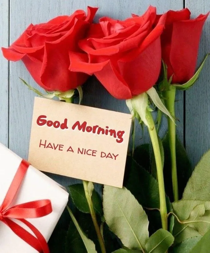 Good Morning Red Roses with Tag Free Hd Wallpaper