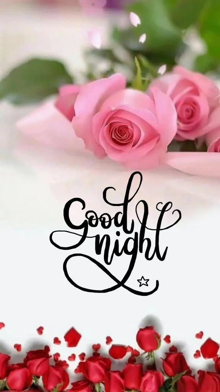 Good Morning Shine Your Soul with Pink Roses Wallpaper