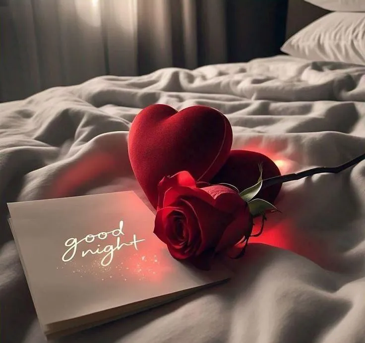 Good Morning Single Red Rose on Soft Blanket Wallpaper