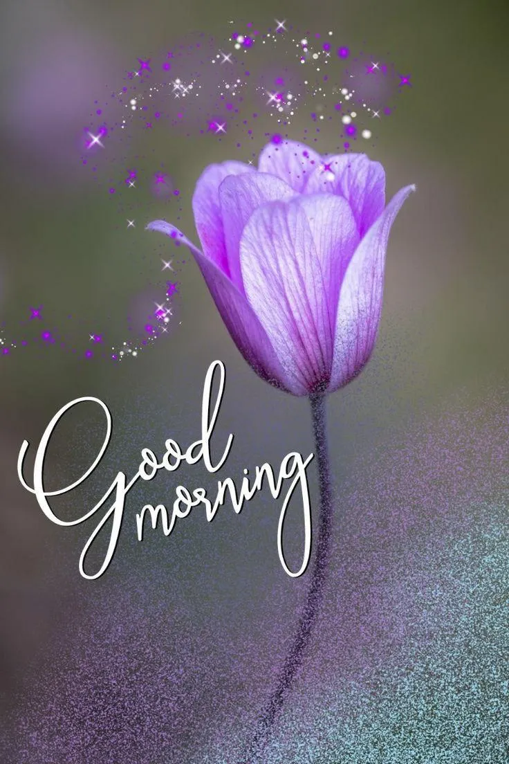 Good Morning Text on Purple Flower Image Hd Image